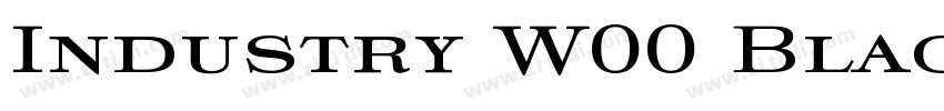 Industry W00 Black字体转换